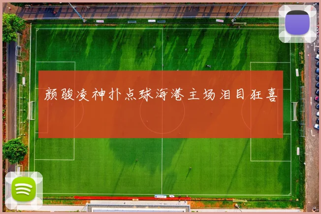 颜骏凌神扑点球海港主场泪目狂喜