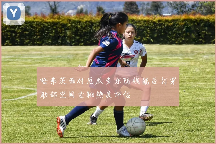 哈弗茨面对厄瓜多尔防线能否打穿肋部空间金靴热度评估
