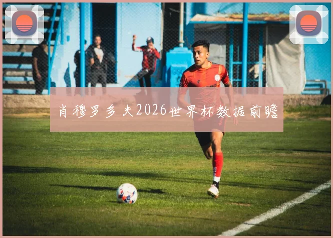 肖穆罗多夫2026世界杯数据前瞻