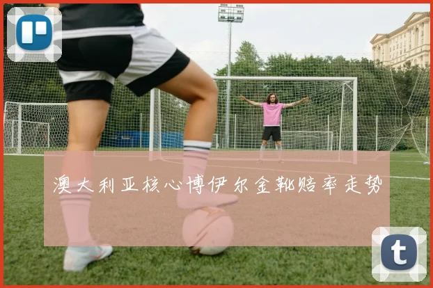 澳大利亚核心博伊尔金靴赔率走势