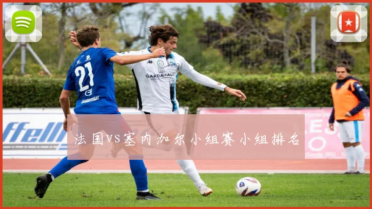 法国vs塞内加尔小组赛小组排名