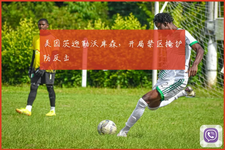 美因茨迎勒沃库森,开局禁区掩护防反击