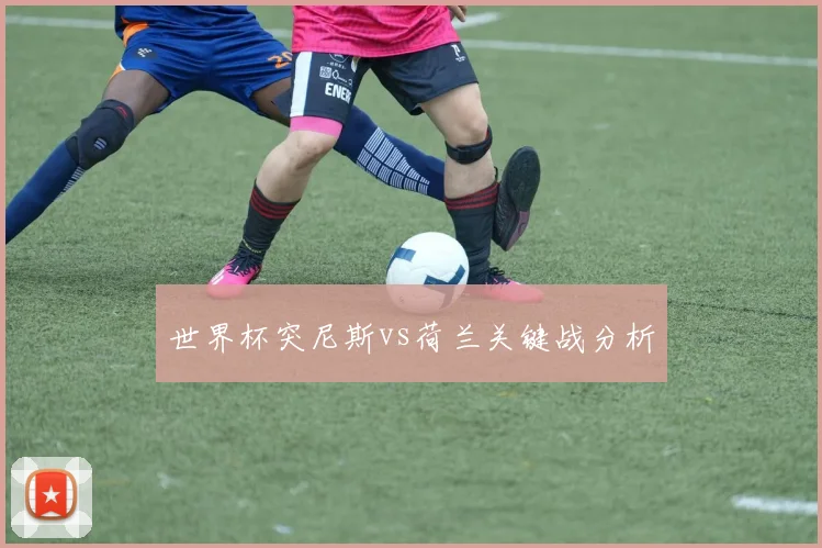 世界杯突尼斯vs荷兰关键战分析