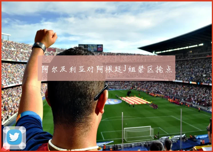 阿尔及利亚对阿根廷J组禁区抢点